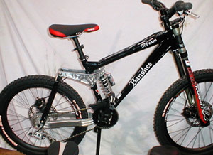 Banshee scream downhill best sale bike